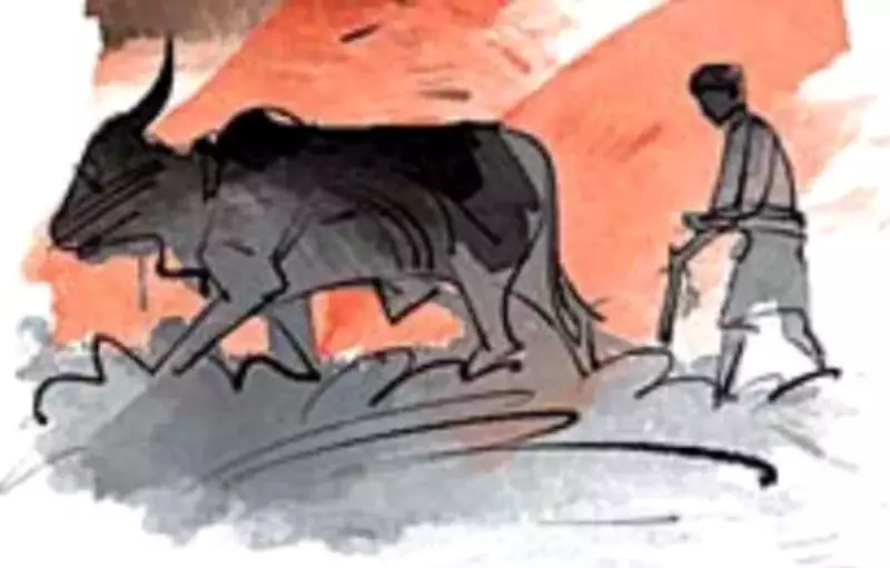 Over 24 Lakh Karnataka Farmers Yet to Complete Mandatory FID KYC, Risk Missing PM-Kisan Benefits