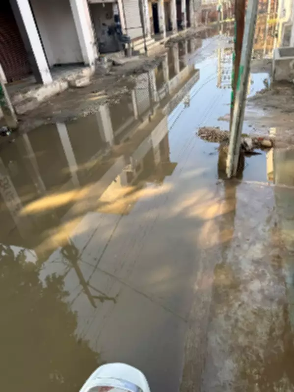 Overflowing Sewers in Sirhind Spark Public Health Crisis in Residential Areas