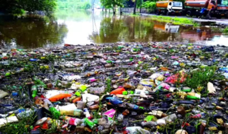 Panaji Civic Polls: Monserrate Aims for Clean Sweep Amid Fragmented Opposition