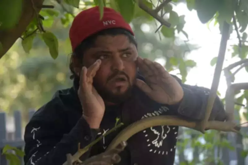 Panchkula Residents Hire 'Monkey Men' as Langoor Call Experts Amid Municipal Inaction