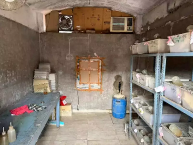 Panjab University Animal Facility Conditions Raise Ethical and Compliance Questions