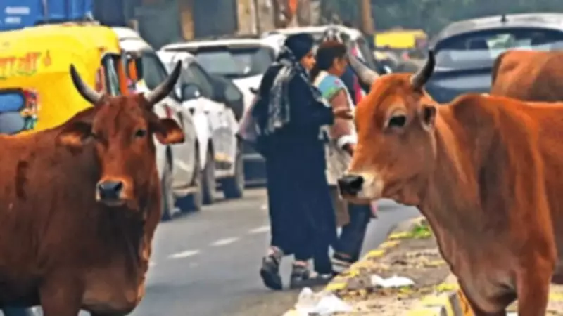 Patparganj's Welcome Sign Overshadows Stray Cattle Crisis at Key Junction