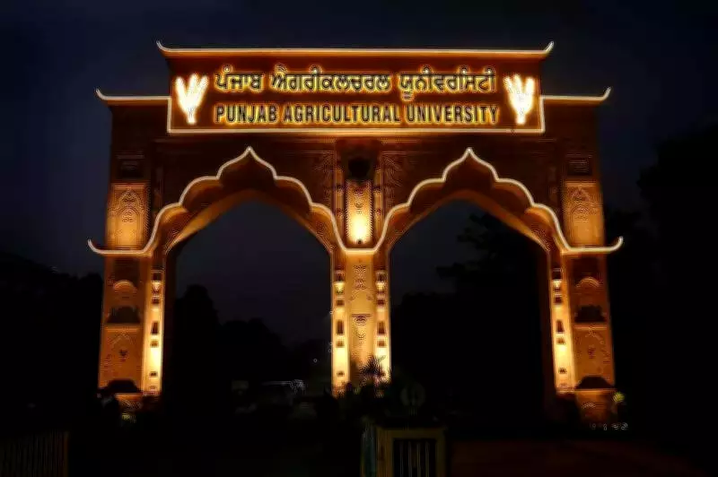 PAU Faculty and Students Win Multiple National Awards at Oilseeds and Climate Conferences