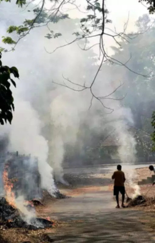 Plastic Waste Burning in DK Villages Sparks Health Alarm, NGO Urges Ministerial Action