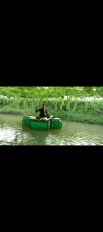 PM Modi Praises Odisha Farmer Hirod Patel's Innovative Vertical Farming Model