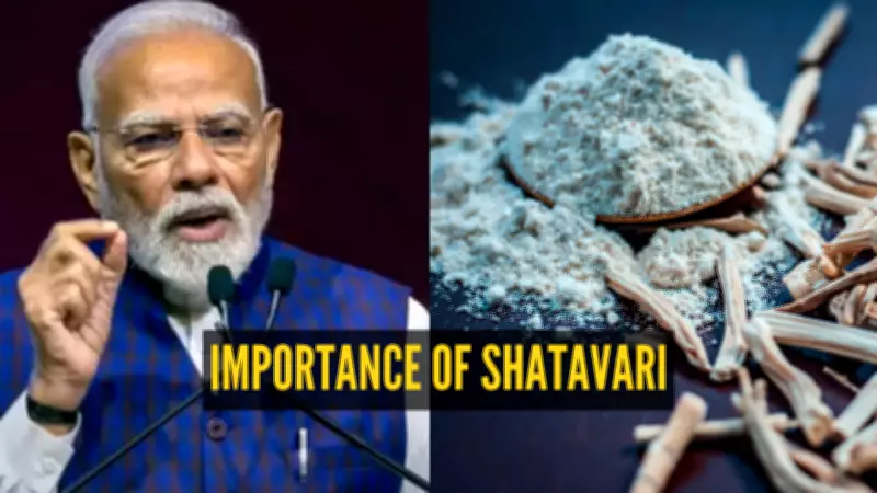 PM Modi's Panch Pran Goal Embraces Shatavari: Ayush Ministry's New Initiative