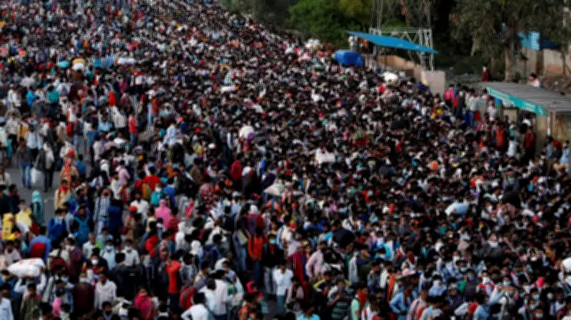 Population Studies: A Growing Career Path in Social Sciences