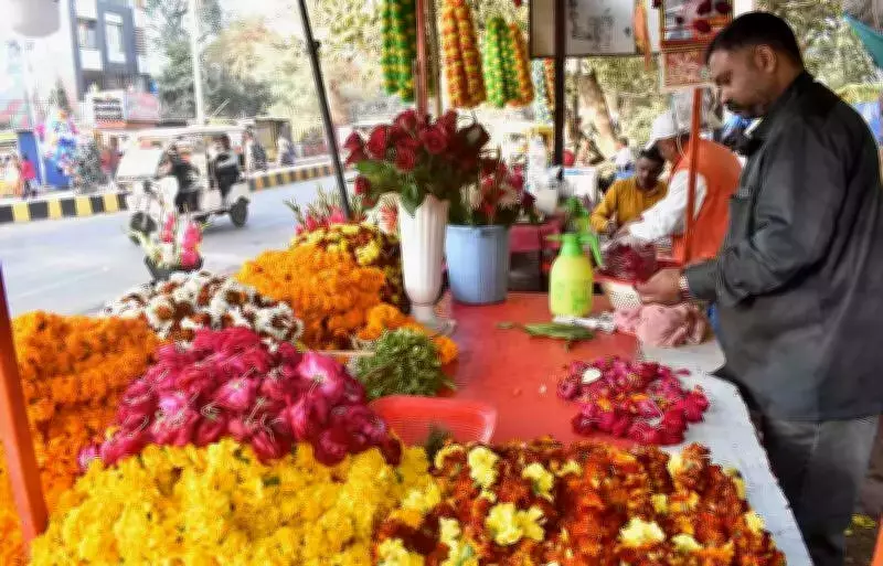 Prayagraj Rose Prices Double Amid Cold Winter, Wedding Season Demand
