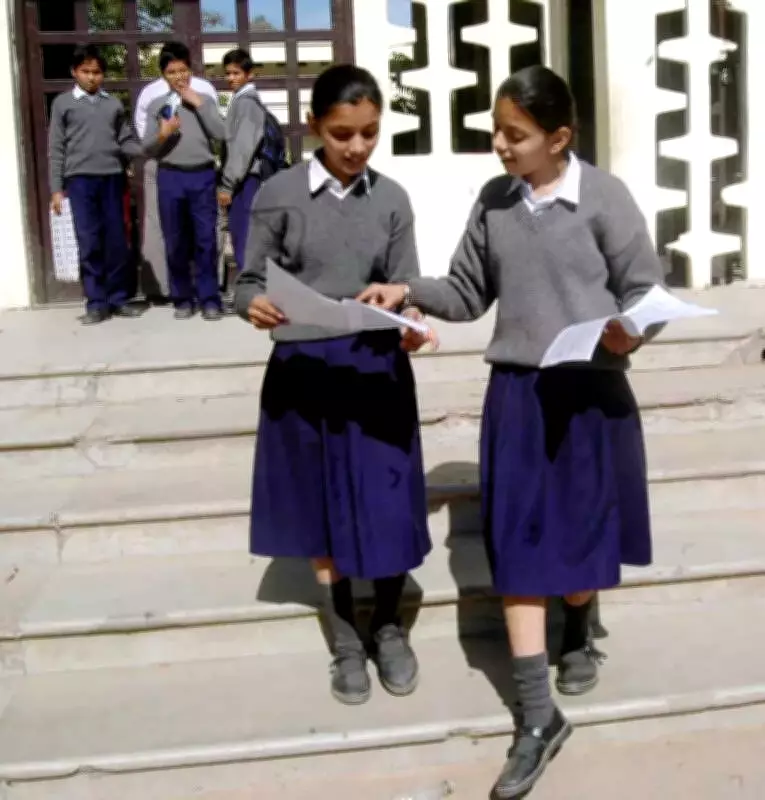 PSEB Class VIII Science Paper Error: Punjabi Translations Missing, Causes Exam Hall Confusion