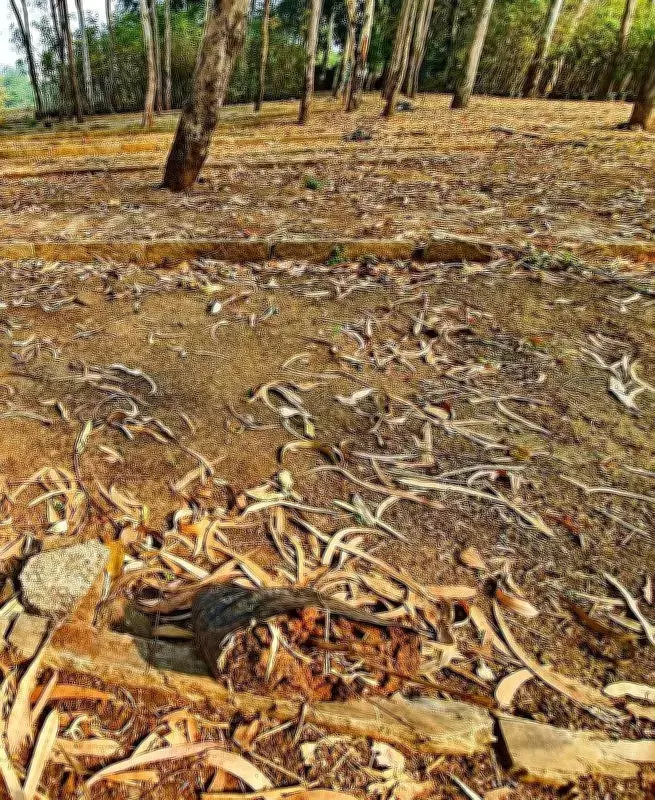 Pune IGR Grants Hearing to Amadea Enterprises in Rs 22.47 Crore Stamp Duty Dispute