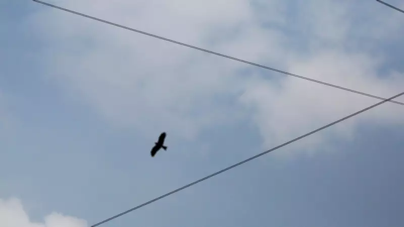 Pune's Morning Chill Holds at 14°C, Clear Skies to Give Way to Clouds by Feb 8