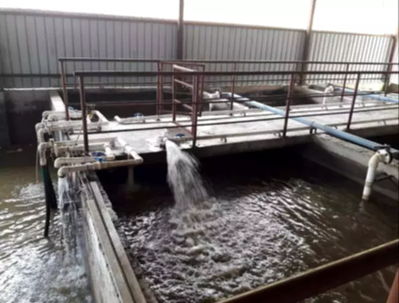 Pune's River Crisis: Sewage Treatment Failures Threaten Public Health