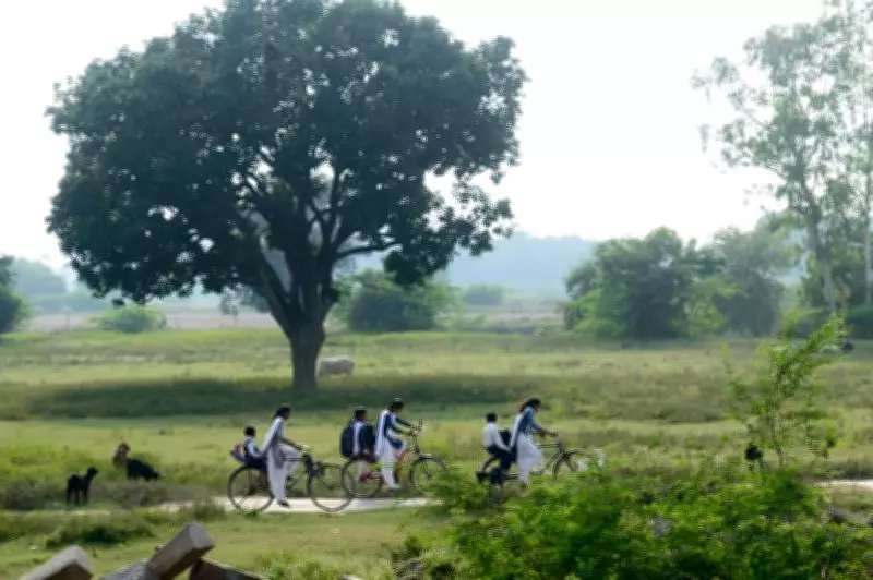 Punjab and Haryana Absent from National Panchayat Awards, Southern States Dominate