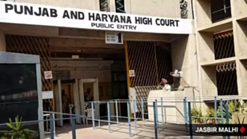 Punjab and Haryana High Court Demands Report on Mohali Shooting and Police Delays