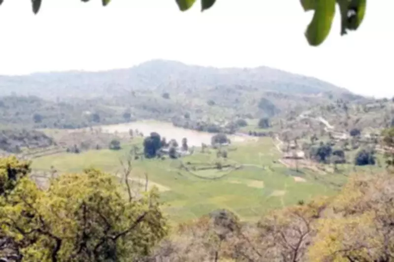 Punjab and Haryana High Court Initiates Contempt Proceedings Over Morni Hills Forest Delay