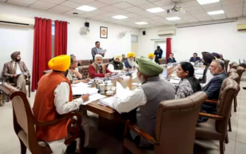 Punjab Cabinet Approves Flood Relief, OTS Extension, and Reward Policy for Criminals