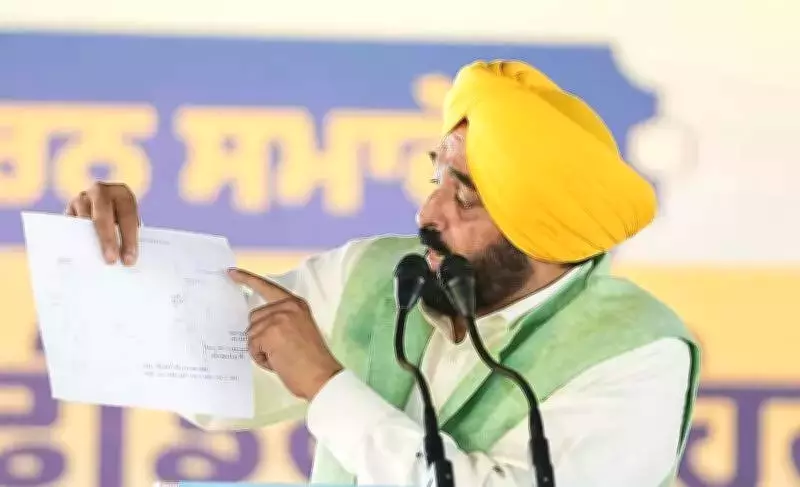 Punjab CM Bhagwant Mann Inaugurates Ferozepur Feeder Canal Revamp, Boosts Irrigation