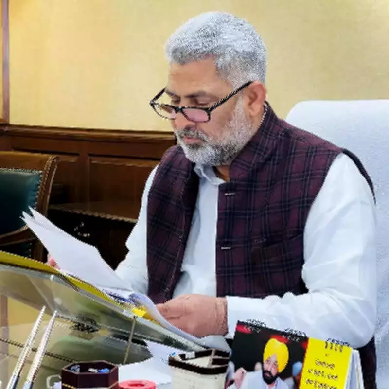 Punjab Declares 13 Wildlife Sanctuaries Plastic-Free, Names Indus Dolphin State Animal