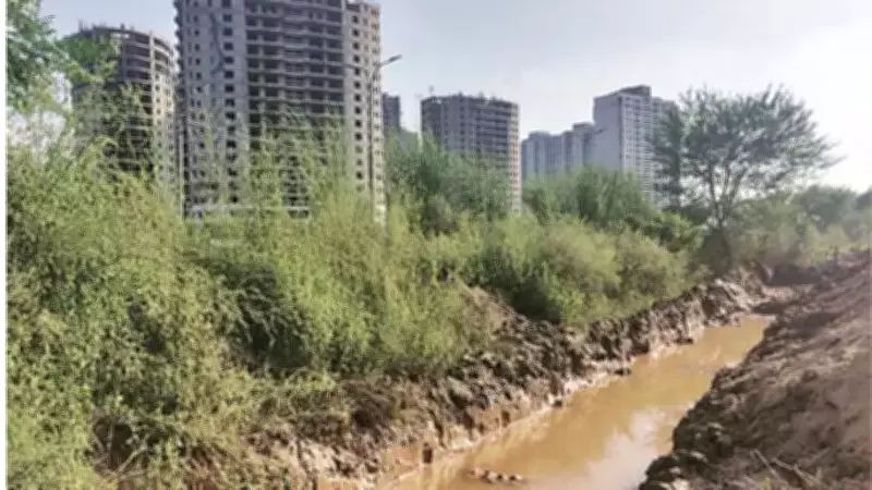 Punjab & Haryana HC Rejects GMADA Affidavit on Siswan Forest Violations, Imposes Rs 25,000 Fine