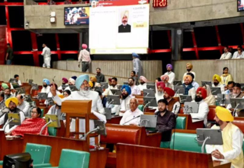 Punjab's Budget 2025-26: Key Focus on Health, Anti-Drug Drive, and Village Upliftment