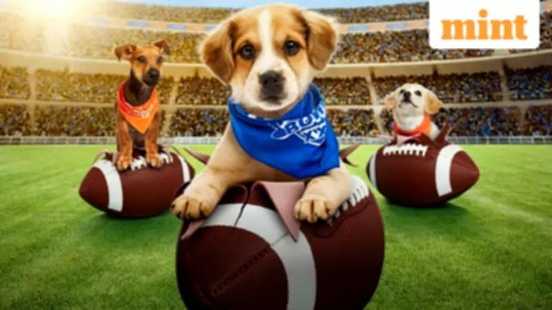 Puppy Bowl XXII Returns in 2026: Date, Time, and Where to Watch