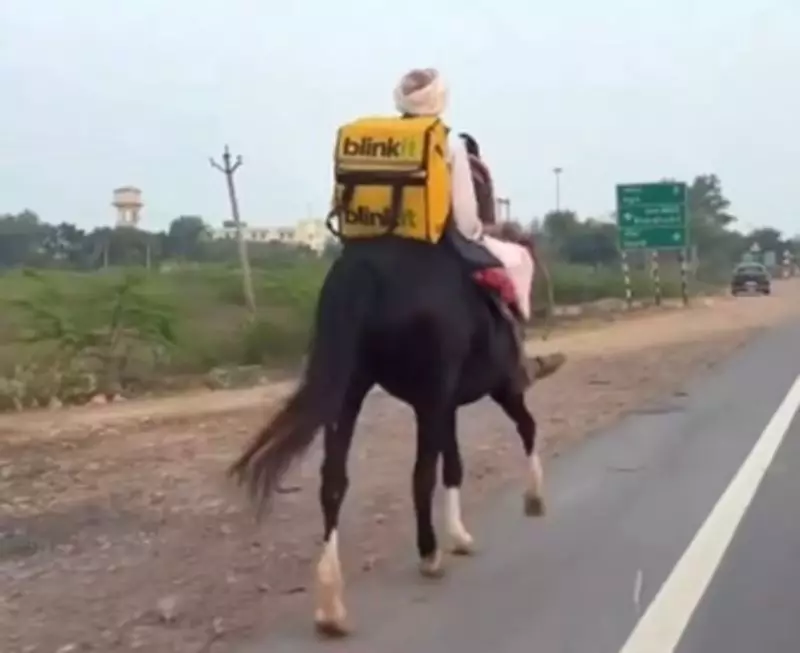 Rajasthan Elderly Man Delivers Blinkit Order on Horse, Wins Internet Praise