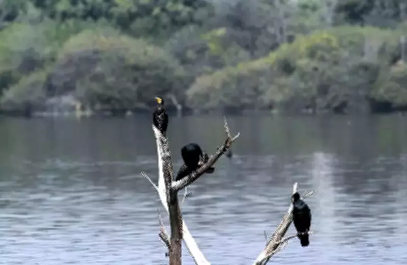 Rajasthan's Seasonal Shift: Warm Days, Cold Nights as Temperatures Rise