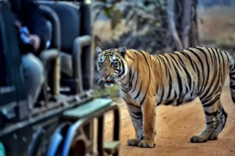 Rajgir Zoo Safari and Nature Safari to Close for Holi on March 3-4