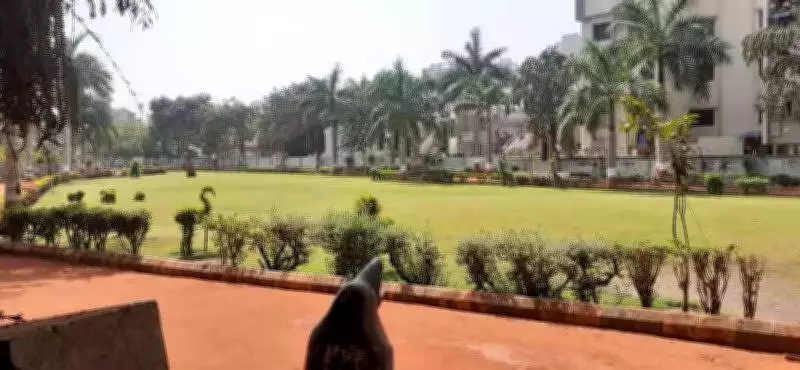 Rajkot Couple's Evening Walk Turns into Nightmare: Woman Assaulted at Race Course