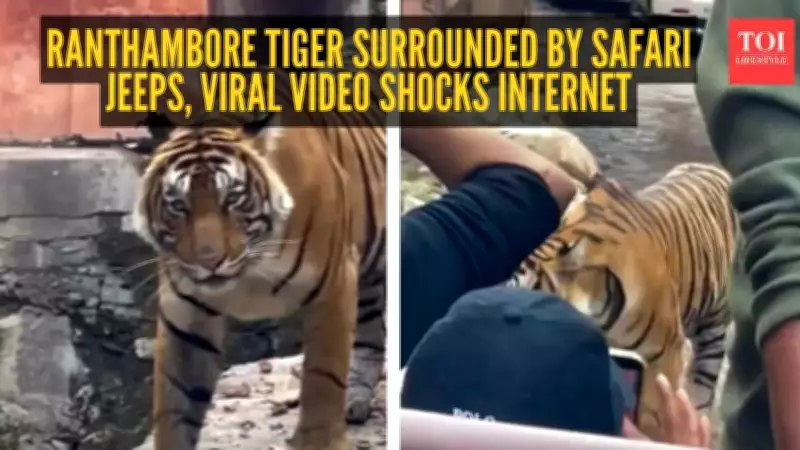 Ranthambore 'Safari Jam' Video Sparks Outrage Over Tiger Harassment