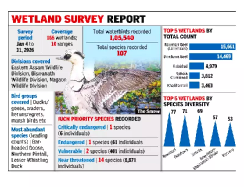 Rare Smew Duck Makes Spectacular Debut in Assam's Kaziranga Tiger Reserve
