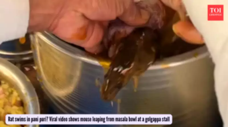 Rat in Pani Puri Horror: Viral Video Exposes Street Food Safety Crisis