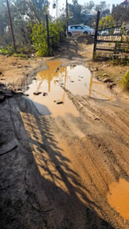 Residents in Nurpur's Ward No. 2 Demand Urgent Road Repairs for Safety