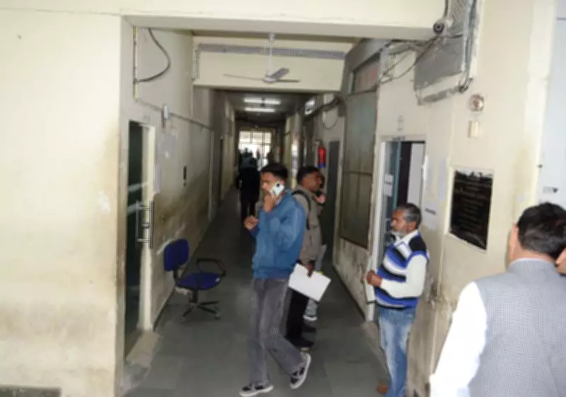 Revenue Officials' Strike Cripples Public Services Across Haryana