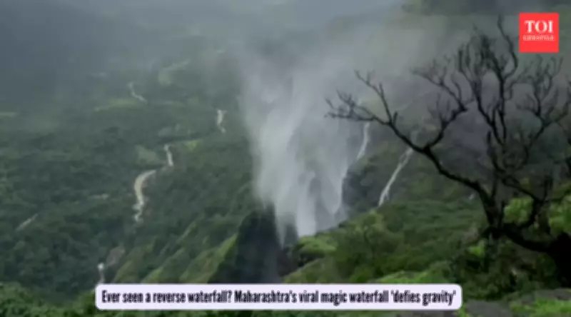 Reverse Waterfall Phenomenon in Maharashtra's Western Ghats Defies Gravity