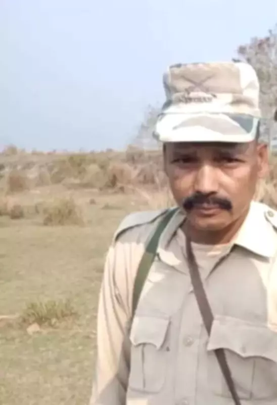 Rhino Attack in Kaziranga Claims Home Guard's Life, Injures Forest Staff