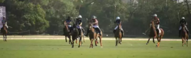 Robert Strom's Four Goals Lead Sainte Mesme to Upset Win in Rajasthan Polo Cup
