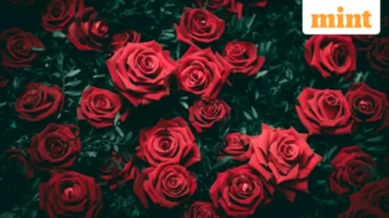 Rose Day 2026 Kicks Off Valentine's Week with Heartfelt Expressions