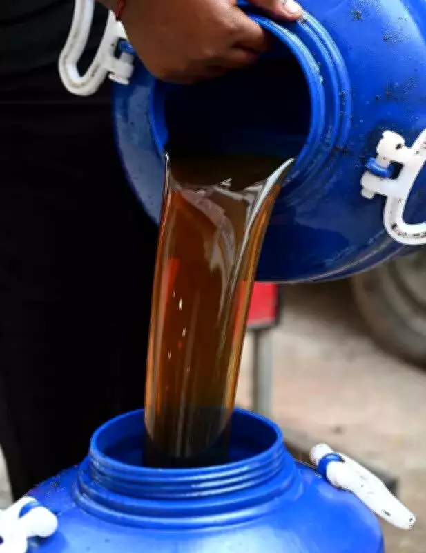 RUCO Initiative Transforms Madurai's Street Food Safety, Collects 216.5 Kilolitres of Used Oil