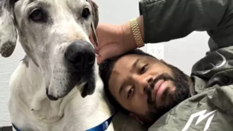 Russell Wilson Mourns Loss of Beloved Dalmatian Naomi After 12 Years