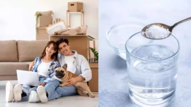 Salt Water Remedy: Ancient Indian Practice to Purify Homes & Attract Harmony