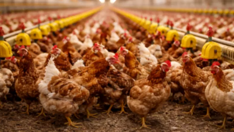 Saudi Arabia Implements Sweeping Ban on Poultry Imports from 40 Nations