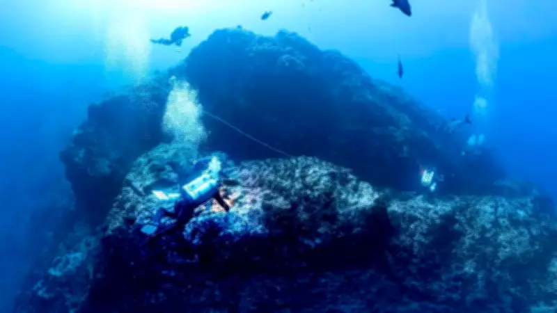 Seamounts: The Underwater Mountains That Are Shark Metropolises