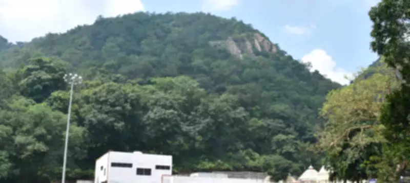 Security Forces Mobilize in Gandhamardan Hills for Anti-Maoist Operation