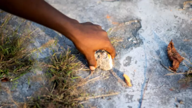 Seven Minor Boys Apprehended for Stone-Throwing at Homes in Karnataka's Bhatkal