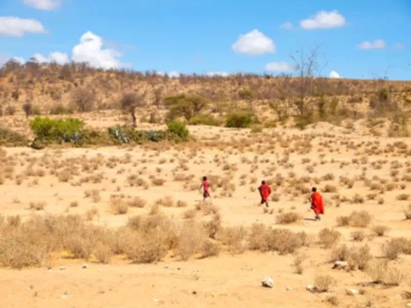 Severe Drought in Kenya Causes Widespread Hunger, Over 2 Million Affected