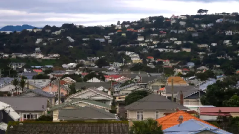 Severe Storm Paralyzes New Zealand: Flights Grounded, Power Outages Widespread