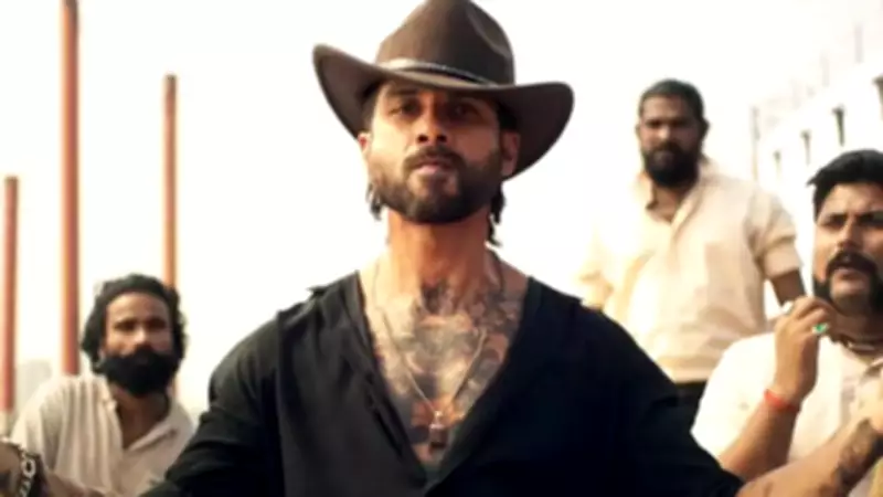 Shahid Kapoor Birthday Special: Must-Watch Films and Series on OTT Platforms