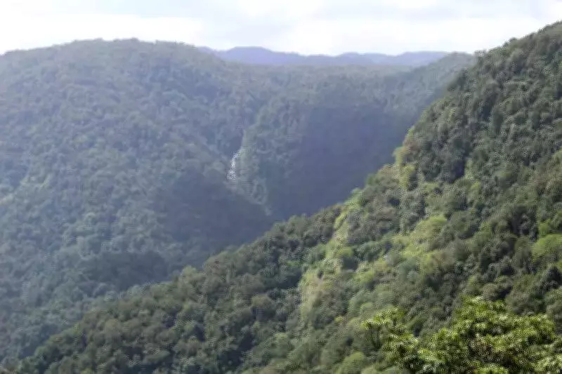 Shivamogga MP Announces Agumbe Ghat Road Project Amid Environmental Concerns