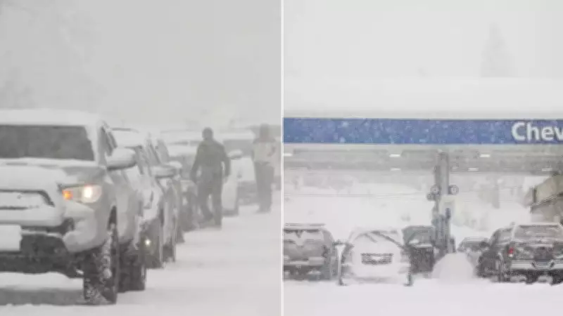 Sierra Nevada Avalanche: Families Identify Six Mothers Killed in Deadliest California Disaster